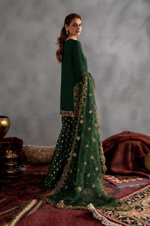 Afsafa Dark Green Heavy Embroidered Chiffon Suit